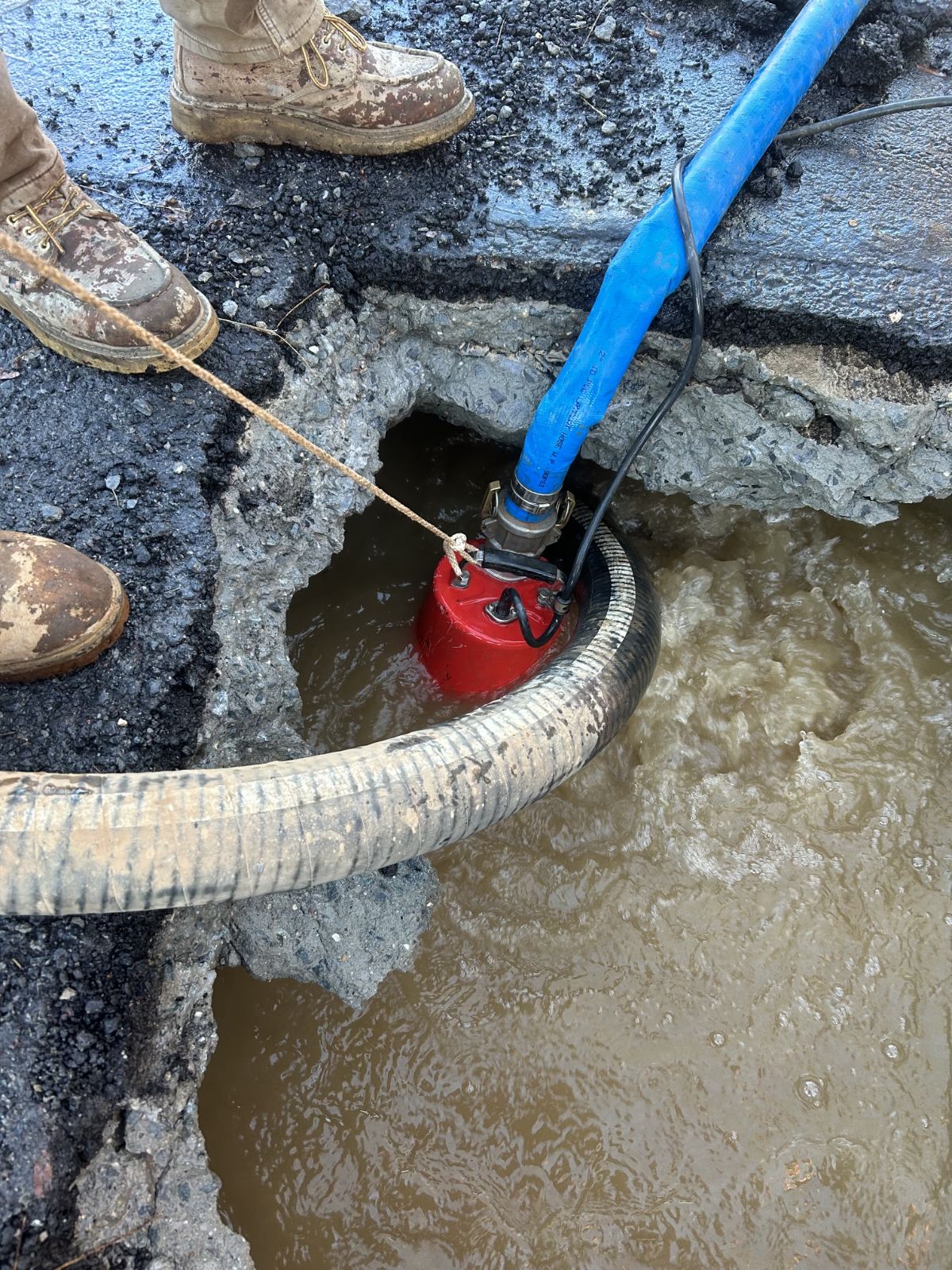 IMG_20260130_062955 (2)