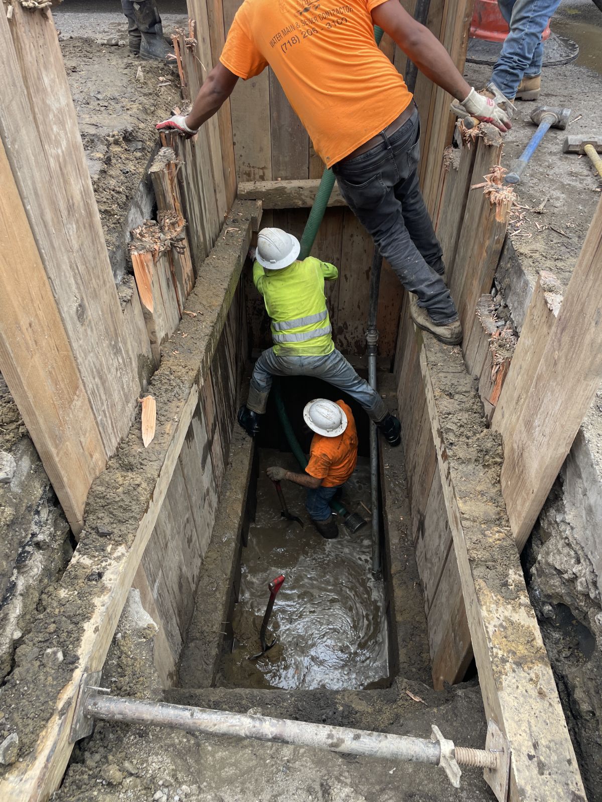 IMG_20260130_062956 (1)