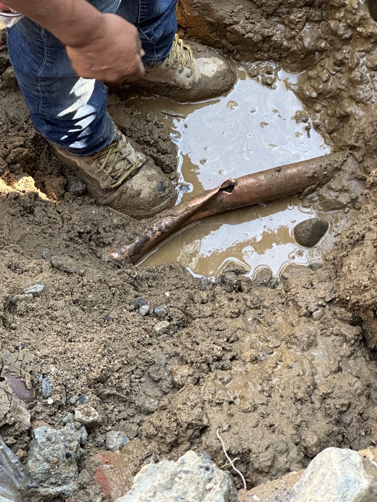 IMG_20260130_062956 (13)