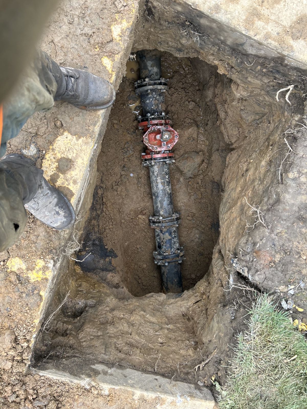 IMG_20260130_062956 (3)