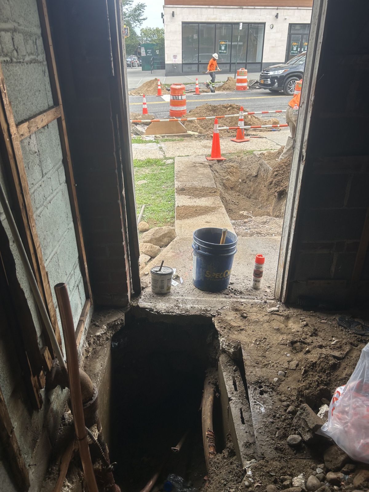 IMG_20260202_113435 (3)