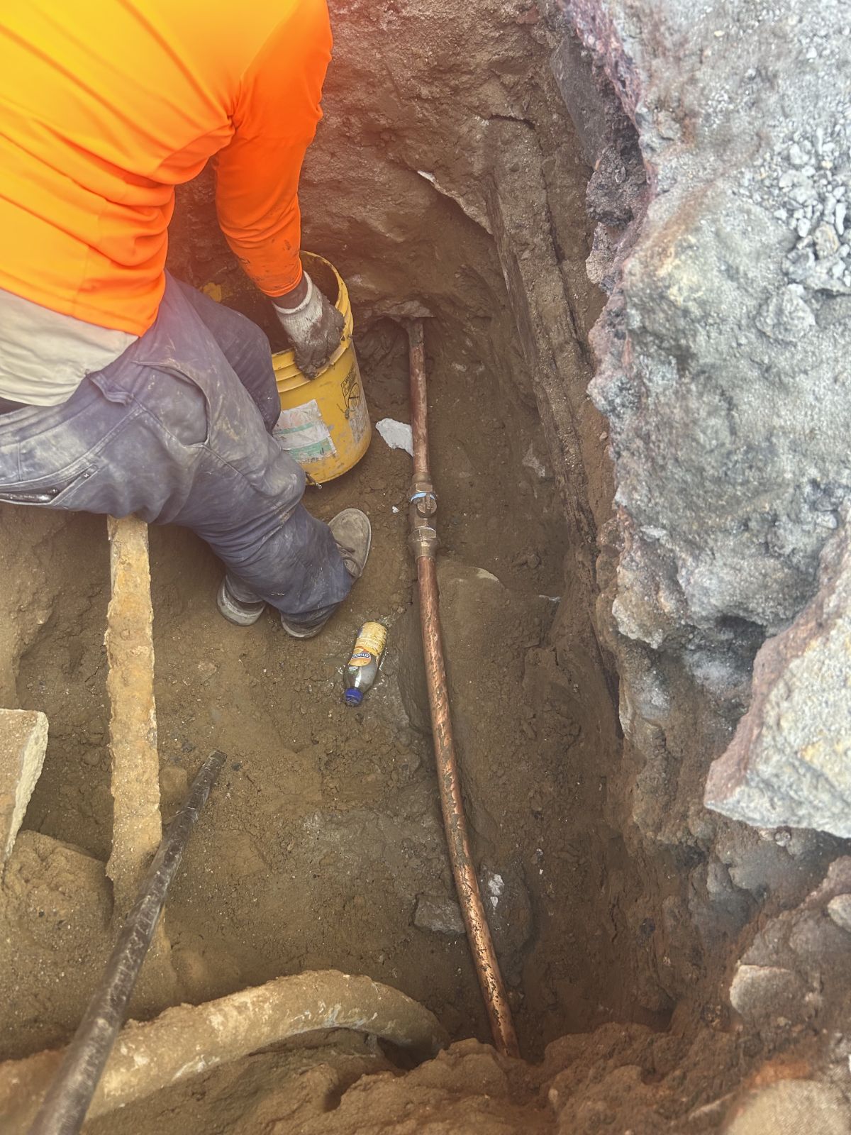 IMG_20260202_113531 (15)