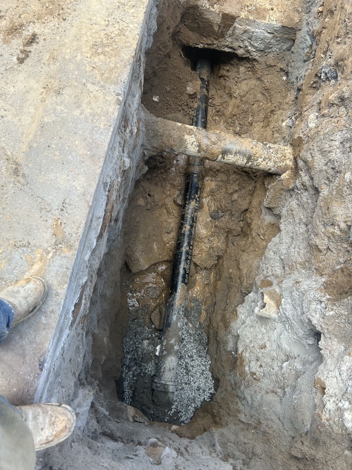 IMG_20260202_113531 (6)