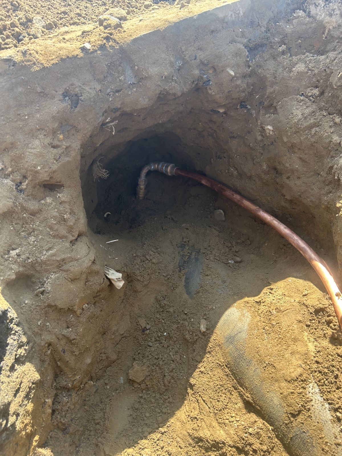 IMG_20260202_113531 (7)